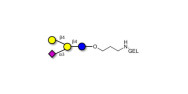 GM2 Ganglioside...