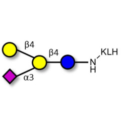 GM2 Ganglioside oligosaccharide analogue grafted on KLH