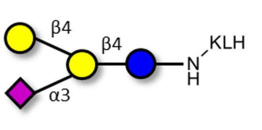 GM2 Ganglioside oligosaccharide analogue grafted on KLH