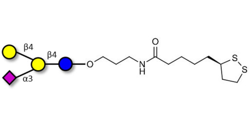 GM2 Ganglioside oligosaccharide analogue with cyclic di-thiol (Linker-LIPO A)