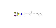 GM2 Ganglioside...