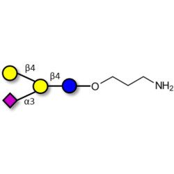 GM2 Ganglioside oligosaccharide analogue with free terminal amine (Linker-NH2 A)