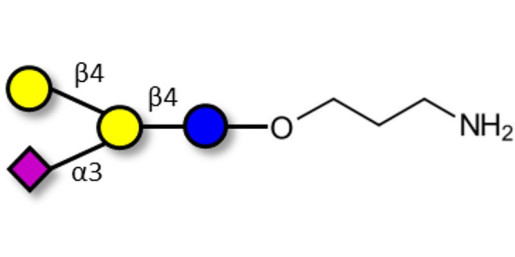 GM2 Ganglioside oligosaccharide analogue with free terminal amine (Linker-NH2 A)