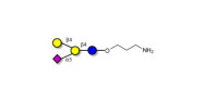 GM2 Ganglioside...