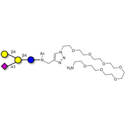 GM2 Ganglioside oligosaccharide analogue with free terminal amine (Linker-NH2 C)