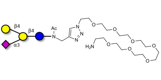 GM2 Ganglioside oligosaccharide analogue with free terminal amine (Linker-NH2 C)