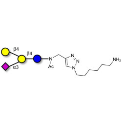 GM2 Ganglioside oligosaccharide analogue with free terminal amine (Linker-NH2 D)
