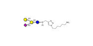 GM2 Ganglioside...
