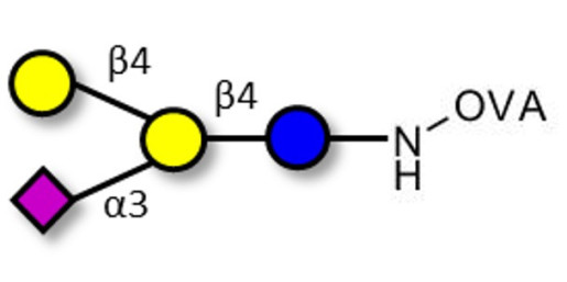 GM2 Ganglioside oligosaccharide analogue grafted on OVA
