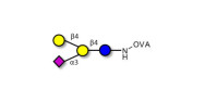 GM2 Ganglioside...
