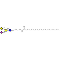 GM2 Ganglioside oligosaccharide analogue with stearic chain (Linker-STEA A)