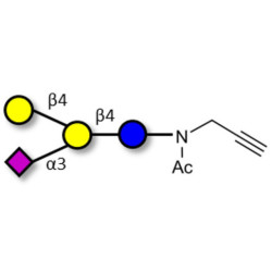 GM2 Ganglioside oligosaccharide analogue with terminal alkyne (Linker-CΞCH A)