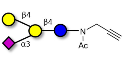 GM2 Ganglioside oligosaccharide analogue with terminal alkyne (Linker-CΞCH A)