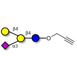 GM2 Ganglioside oligosaccharide analogue with terminal alkyne (Linker-CΞCH B)