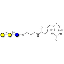 Globotriose (Gb3) linked to biotin (Linker-BT B)