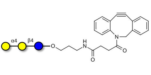 Globotriose (Gb3) with DBCO (Linker-DBCO A) - Pk antigen