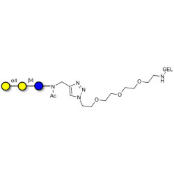 Globotriose (Gb3) grafted on gel for affinity chromatography (Linker-GEL A)