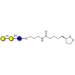 Globotriose (Gb3) with cyclic di-thiol (Linker-LIPO A)