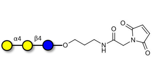 Globotriose (Gb3) linked to maleimide (Linker-MAL A) - Pk antigen