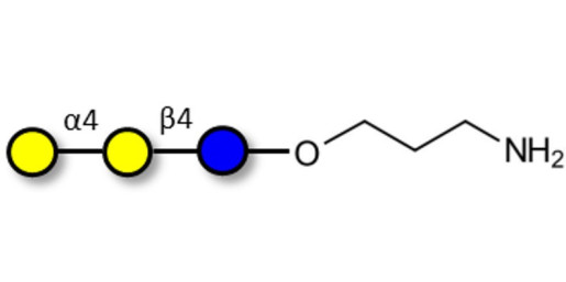Globotriose (Gb3) with free terminal amine (Linker-NH2 A) - Pk antigen