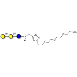 Globotriose (Gb3) with free terminal amine (Linker-NH2 B)