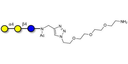 Globotriose (Gb3) with free terminal amine (Linker-NH2 B) - GLY120-NAc-sp1-NH2 ; Pk antigen