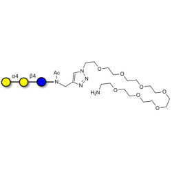 Globotriose (Gb3) with free terminal amine (Linker-NH2 C)
