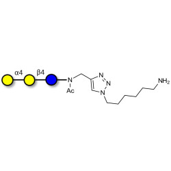 Globotriose (Gb3) with free terminal amine (Linker-NH2 D)