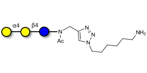 Globotriose (Gb3) with free terminal amine (Linker-NH2 D) - Pk antigen