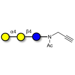 Globotriose (Gb3) with terminal alkyne (Linker-CΞCH A)
