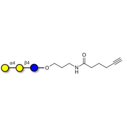 Globotriose (Gb3) with terminal alkyne (Linker-CΞCH C)