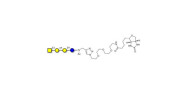Globotetraose (Gb4) linked...