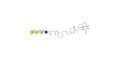 Globotetraose (Gb4) linked to biotin (Linker-BT A) - GLY121-NAc-sp3-Bt ; P antigen ; Globo-N-Tetraose