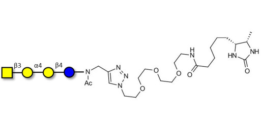 Globotetraose (Gb4) linked to desthiobiotin (Linker-DBT-A) - P antigen ; Globo-N-Tetraose
