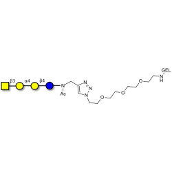 Globotetraose (Gb4) grafted on gel for affinity chromatography (Linker-GEL A)