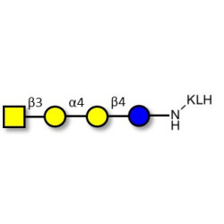 Globotetraose (Gb4) grafted on KLH