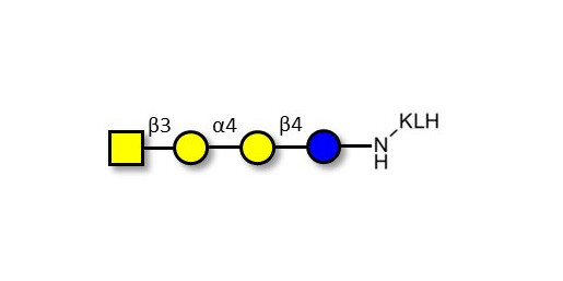 Globotetraose (Gb4) grafted on KLH - P antigen ; Globo-N-Tetraose