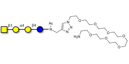 Globotetraose (Gb4) with free terminal amine (Linker-NH2 C) - P antigen ; Globo-N-Tetraose