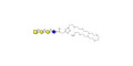 Globotetraose (Gb4) with free terminal amine (Linker-NH2 C) - P antigen ; Globo-N-Tetraose