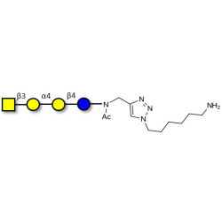 Globotetraose (Gb4) with free terminal amine (Linker-NH2 D)
