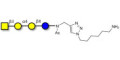 Globotetraose (Gb4) with free terminal amine (Linker-NH2 D) - P antigen ; Globo-N-Tetraose