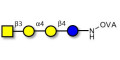 Globotetraose (Gb4) grafted on OVA - P antigen ; Globo-N-Tetraose