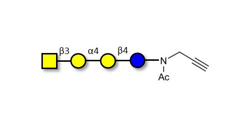 Globotetraose (Gb4) with terminal alkyne (Linker-CΞCH A) - P antigen ; Globo-N-Tetraose