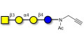 Globotetraose (Gb4) with terminal alkyne (Linker-CΞCH A) - P antigen ; Globo-N-Tetraose