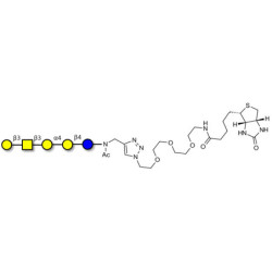 Globopentaose (Gb5) / Stage Specific Embryonic Antigen 3a (SSEA-3a) linked to biotin (Linker-BT A)