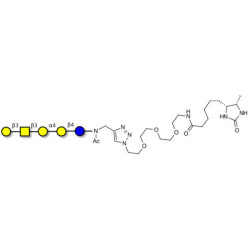 Globopentaose (Gb5) / Stage Specific Embryonic Antigen 3a (SSEA-3a) linked to desthiobiotin (Linker-DBT-A)
