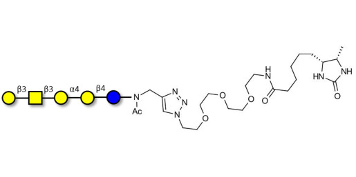 Globopentaose (Gb5) / Stage Specific Embryonic Antigen 3a (SSEA-3a) linked to desthiobiotin (Linker-DBT-A)