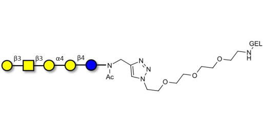 Globopentaose (Gb5) / Stage Specific Embryonic Antigen 3a (SSEA-3a) grafted on gel for affinity chromatography (Linker-GEL A)