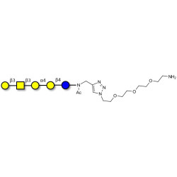 Globopentaose (Gb5) / Stage Specific Embryonic Antigen 3a (SSEA-3a) with free terminal amine (Linker-NH2 B)