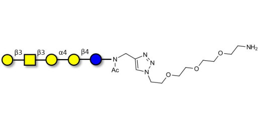 Globopentaose (Gb5) / Stage Specific Embryonic Antigen 3a (SSEA-3a) with free terminal amine (Linker-NH2 B)